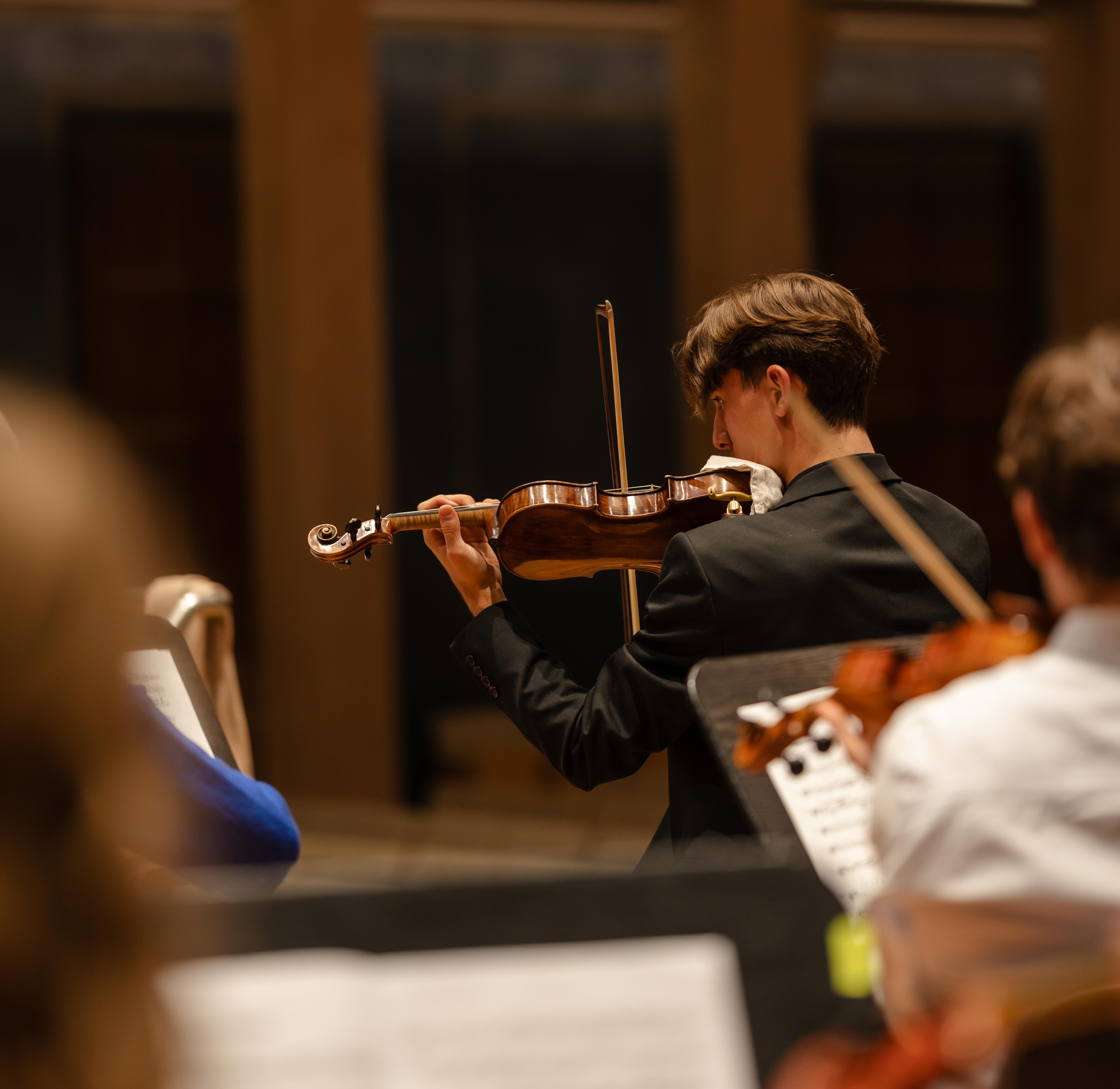 Illustration du site avec un violon