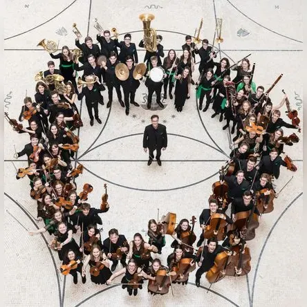 Illustration du site avec un violon
